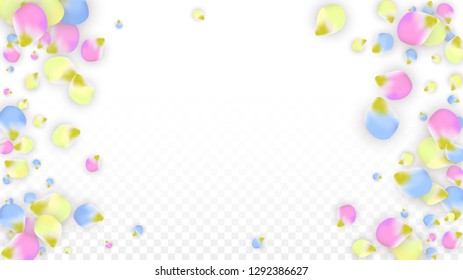 Vector Realistic Colorful Petals Falling on Transparent Background.  Spring Romantic Flowers Illustration. Flying Petals. Sakura Spa Design.  Blossom Confetti. Design Elements for  Mother's Day.