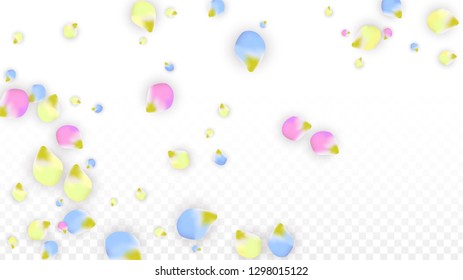 Vector Realistic Colorful Petals Falling on Transparent Background.  Spring Romantic Flowers Illustration. Flying Petals. Sakura Spa Design.  Blossom Confetti. Design Elements for  Poster Design. 