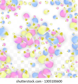 Vector Realistic Colorful Petals Falling on Transparent Background.  Spring Romantic Flowers Illustration. Flying Petals. Sakura Spa Design.  Blossom Confetti. Design Elements for  Mother's Day.