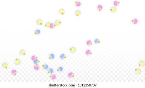 Vector Realistic Colorful Petals Falling on Transparent Background.  Spring Romantic Flowers Illustration. Flying Petals. Sakura Spa Design.  Blossom Confetti. Design Elements for  8 March Card.