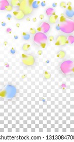 Vector Realistic Colorful Petals Falling on Transparent Background.  Spring Romantic Flowers Illustration. Flying Petals. Sakura Spa Design.  Blossom Confetti. Design Elements for  Wedding Decoration.