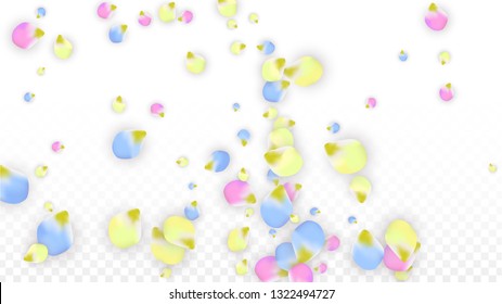 Vector Realistic Colorful Petals Falling on Transparent Background.  Spring Romantic Flowers Illustration. Flying Petals. Sakura Spa Design.  Blossom Confetti. Design Elements for  St. Valentine Day.