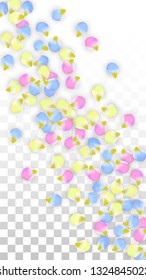 Vector Realistic Colorful Petals Falling on Transparent Background.  Spring Romantic Flowers Illustration. Flying Petals. Sakura Spa Design.  Blossom Confetti. Design Elements for  Poster Design. 