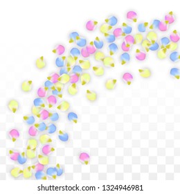 Vector Realistic Colorful Petals Falling on Transparent Background.  Spring Romantic Flowers Illustration. Flying Petals. Sakura Spa Design.  Blossom Confetti. Design Elements for  Poster Design. 