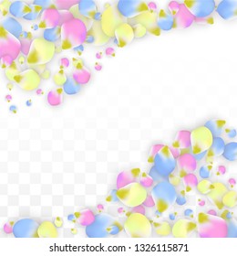 Vector Realistic Colorful Petals Falling on Transparent Background.  Spring Romantic Flowers Illustration.  