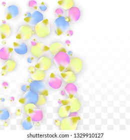 Vector Realistic Colorful Petals Falling on Transparent Background.  Spring Romantic Flowers Illustration. Flying Petals. Sakura Spa Design.  Blossom Confetti. Design Elements for  Poster Design. 