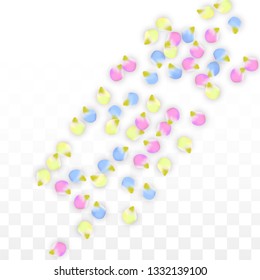 Vector Realistic Colorful Petals Falling on Transparent Background.  Spring Romantic Flowers Illustration. Flying Petals. Sakura Spa Design.  Blossom Confetti. Design Elements for  St. Valentine Day.
