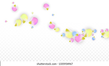 Vector Realistic Colorful Petals Falling on Transparent Background.  Spring Romantic Flowers Illustration. Flying Petals. Sakura Spa Design.  Blossom Confetti. Design Elements for  St. Valentine Day.