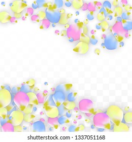 Vector Realistic Colorful Petals Falling on Transparent Background.  Spring Romantic Flowers Illustration. Flying Petals. Sakura Spa Design.  Blossom Confetti. Design Elements for  Poster Design. 