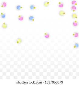 Vector Realistic Colorful Petals Falling on Transparent Background.  Spring Romantic Flowers Illustration. Flying Petals. Sakura Spa Design.  Blossom Confetti. Design Elements for  Wedding Decoration.