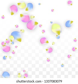 Vector Realistic Colorful Petals Falling on Transparent Background.  Spring Romantic Flowers Illustration. Flying Petals. Sakura Spa Design.  Blossom Confetti. Design Elements for  St. Valentine Day.