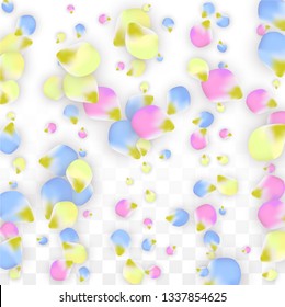 Vector Realistic Colorful Petals Falling on Transparent Background.  Spring Romantic Flowers Illustration. Flying Petals. Sakura Spa Design.  Blossom Confetti. Design Elements for  Poster Design. 