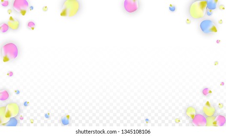 Vector Realistic Colorful Petals Falling on Transparent Background.  Spring Romantic Flowers Illustration. Flying Petals. Sakura Spa Design.  Blossom Confetti. Design Elements for  Wedding Decoration.