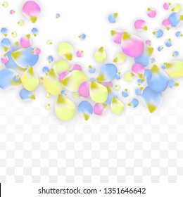 Vector Realistic Colorful Petals Falling on Transparent Background.  Spring Romantic Flowers Illustration. Flying Petals. Sakura Spa Design.  Blossom Confetti. Design Elements for  Poster Design. 