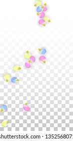 Vector Realistic Colorful Petals Falling on Transparent Background.  Spring Romantic Flowers Illustration. Flying Petals. Sakura Spa Design.  Blossom Confetti. Design Elements for  8 March Card.