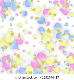 Vector Realistic Colorful Petals Falling on Transparent Background.  Spring Romantic Flowers Illustration. Flying Petals. Sakura Spa Design.  Blossom Confetti. Design Elements for  Poster Design. 