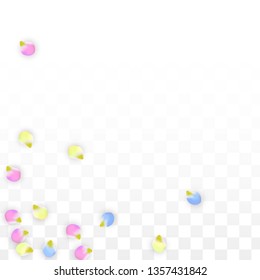 Vector Realistic Colorful Petals Falling on Transparent Background.  Spring Romantic Flowers Illustration. Flying Petals. Sakura Spa Design.  Blossom Confetti. Design Elements for  8 March Card.