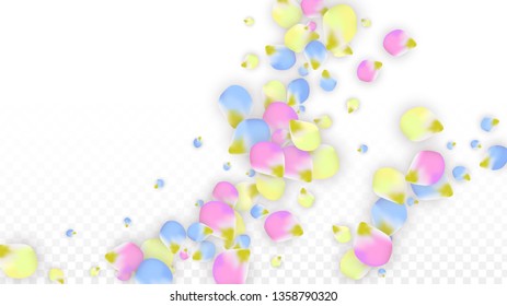 Vector Realistic Colorful Petals Falling on Transparent Background.  Spring Romantic Flowers Illustration. Flying Petals. Sakura Spa Design.  Blossom Confetti. Design Elements for  Poster Design. 