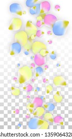 Vector Realistic Colorful Petals Falling on Transparent Background.  Spring Romantic Flowers Illustration. Flying Petals. Sakura Spa Design.  Blossom Confetti. Design Elements for  Wedding Decoration.