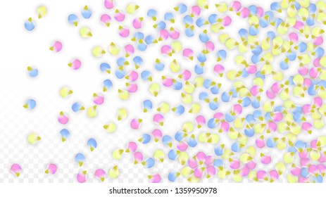 Vector Realistic Colorful Petals Falling on Transparent Background.  Spring Romantic Flowers Illustration. Flying Petals. Sakura Spa Design.  Blossom Confetti. Design Elements for  Poster Design. 