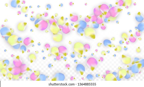 Vector Realistic Colorful Petals Falling on Transparent Background.  Spring Romantic Flowers Illustration. Flying Petals. Sakura Spa Design.  Blossom Confetti. Design Elements for  St. Valentine Day.