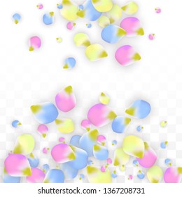 Vector Realistic Colorful Petals Falling on Transparent Background.  Spring Romantic Flowers Illustration. Flying Petals. Sakura Spa Design.  Blossom Confetti. Design Elements for  St. Valentine Day.