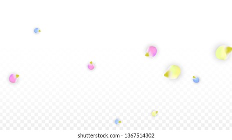 Vector Realistic Colorful Petals Falling on Transparent Background.  Spring Romantic Flowers Illustration. Flying Petals. Sakura Spa Design.  Blossom Confetti. Design Elements for  Poster Design. 