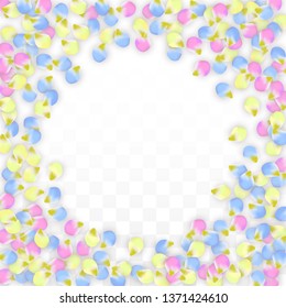 Vector Realistic Colorful Petals Falling on Transparent Background.  Spring Romantic Flowers Illustration. Flying Petals. Sakura Spa Design.  Blossom Confetti. Design Elements for  Mother's Day.