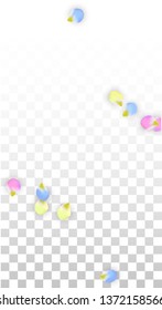 Vector Realistic Colorful Petals Falling on Transparent Background.  Spring Romantic Flowers Illustration. Flying Petals. Sakura Spa Design.  Blossom Confetti. Design Elements for  8 March Card.