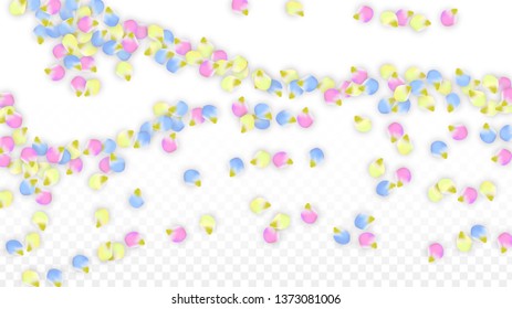Vector Realistic Colorful Petals Falling on Transparent Background.  Spring Romantic Flowers Illustration. Flying Petals. Sakura Spa Design.  Blossom Confetti. Design Elements for  St. Valentine Day.
