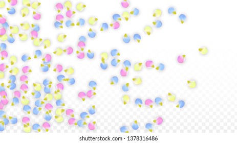 Vector Realistic Colorful Petals Falling on Transparent Background.  Spring Romantic Flowers Illustration. Flying Petals. Sakura Spa Design.  Blossom Confetti. Design Elements for  8 March Card.