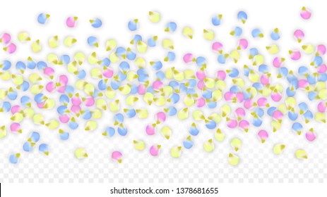 Vector Realistic Colorful Petals Falling on Transparent Background.  Spring Romantic Flowers Illustration. Flying Petals. Sakura Spa Design.  Blossom Confetti. Design Elements for  Poster Design. 