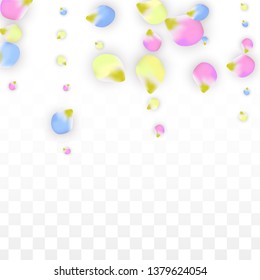 Vector Realistic Colorful Petals Falling on Transparent Background.  Spring Romantic Flowers Illustration. Flying Petals. Sakura Spa Design.  Blossom Confetti. Design Elements for  St. Valentine Day.