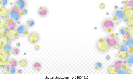 Vector Realistic Colorful Petals Falling on Transparent Background.  Spring Romantic Flowers Illustration. Flying Petals. Sakura Spa Design.  Blossom Confetti. Design Elements for  Mother's Day.