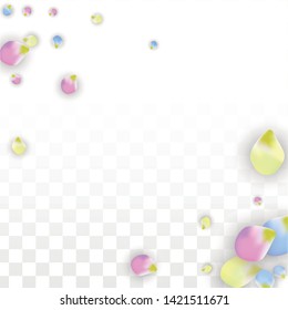 Vector Realistic Colorful Petals Falling on Transparent Background.  Spring Romantic Flowers Illustration. Flying Petals. Sakura Spa Design.  Blossom Confetti. Design Elements for  8 March Card.