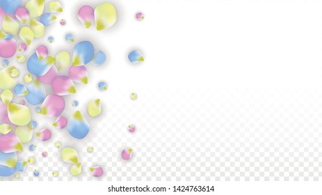 Vector Realistic Colorful Petals Falling on Transparent Background.  Spring Romantic Flowers Illustration. Flying Petals. Sakura Spa Design.  Blossom Confetti. Design Elements for  St. Valentine Day.