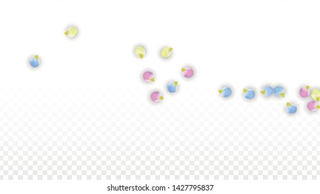 Vector Realistic Colorful Petals Falling on Transparent Background.  Spring Romantic Flowers Illustration. Flying Petals. Sakura Spa Design.  Blossom Confetti. Design Elements for  Wedding Decoration.