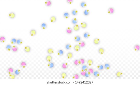Vector Realistic Colorful Petals Falling on Transparent Background.  Spring Romantic Flowers Illustration. Flying Petals. Sakura Spa Design.  Blossom Confetti. Design Elements for  Wedding Decoration.