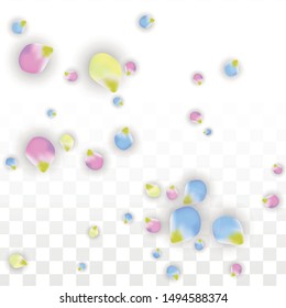 Vector Realistic Colorful Petals Falling on Transparent Background.  Spring Romantic Flowers Illustration. Flying Petals. Sakura Spa Design.  Blossom Confetti. Design Elements for  St. Valentine Day.