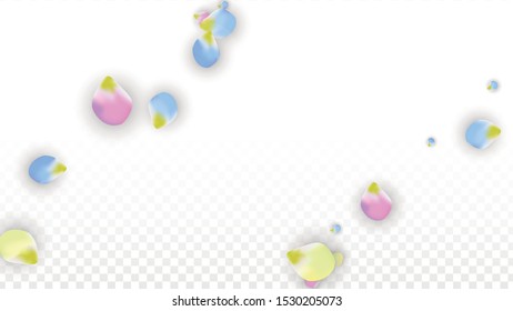 Vector Realistic Colorful Petals Falling on Transparent Background.  Spring Romantic Flowers Illustration. Flying Petals. Sakura Spa Design.  Blossom Confetti. Design Elements for  Poster Design. 