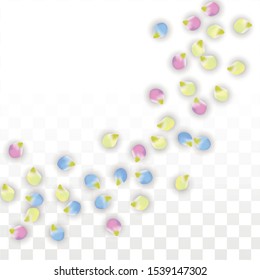 Vector Realistic Colorful Petals Falling on Transparent Background.  Spring Romantic Flowers Illustration. Flying Petals. Sakura Spa Design.  Blossom Confetti. Design Elements for  8 March Card.