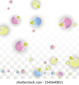 Vector Realistic Colorful Petals Falling on Transparent Background.  Spring Romantic Flowers Illustration. Flying Petals. Sakura Spa Design.  Blossom Confetti. Design Elements for  Mother's Day.
