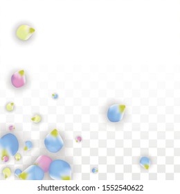 Vector Realistic Colorful Petals Falling on Transparent Background.  Spring Romantic Flowers Illustration. Flying Petals. Sakura Spa Design.  Blossom Confetti. Design Elements for  Wedding Decoration.