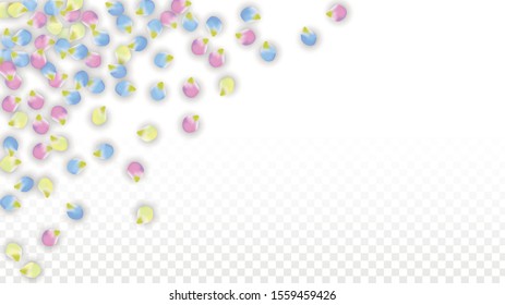 Vector Realistic Colorful Petals Falling on Transparent Background.  Spring Romantic Flowers Illustration. Flying Petals. Sakura Spa Design.  Blossom Confetti. Design Elements for  St. Valentine Day.