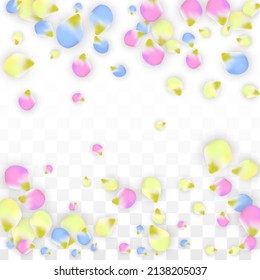 Vector Realistic Colorful Petals Falling on Transparent Background.  Spring Romantic Flowers Illustration. Flying Petals. Sakura Spa Design.  Blossom Confetti. Design Elements for  Wedding Decoration.