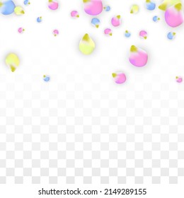 Vector Realistic Colorful Petals Falling on Transparent Background.  Spring Romantic Flowers Illustration. Flying Petals. Sakura Spa Design.  Blossom Confetti. Design Elements for  Mother's Day.