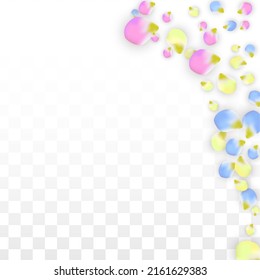 Vektorrealistische, bunte Petalen, die auf transparentem Hintergrund fallen.  Frühlingsromantische Blumenillustration. Fliegender Petals. Sakura Spa Design.  Blossom Confetti. Gestaltungselemente für den Valentinstag.
