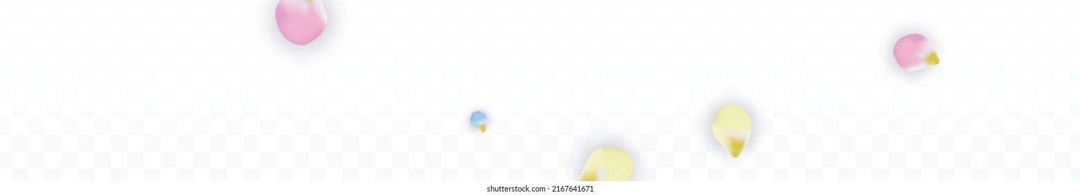 Vector Realistic Colorful Petals Falling on Transparent Background.  Spring Romantic Flowers Illustration. Flying Petals. Sakura Spa Design.  Blossom Confetti. Design Elements for  Wedding Decoration.