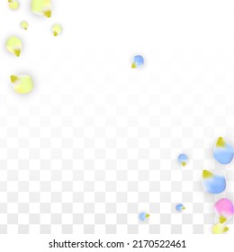 Pétalos de color realistas vectoriales caen sobre fondo transparente.  Ilustración de flores románticas primaverales. Pétalos voladores. Diseño del Spa Sakura.  Blossom Confetti. Diseñar elementos para el Día de la Madre.