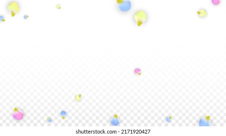 Vector Realistic Colorful Petals Falling on Transparent Background.  Spring Romantic Flowers Illustration. Flying Petals. Sakura Spa Design.  Blossom Confetti. Design Elements for  St. Valentine Day.